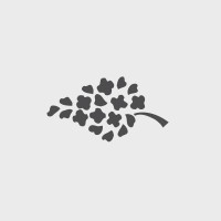Save an extra 10% off Markdowns at Peacock Alley with code: SALE10