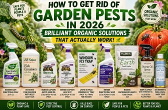 How to Get Rid of Garden Pests 2026 - Organic Solutions