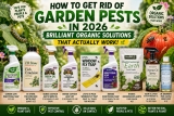 How to Get Rid of Garden Pests in 2026 – Brilliant Organic Solutions That Actually Work
